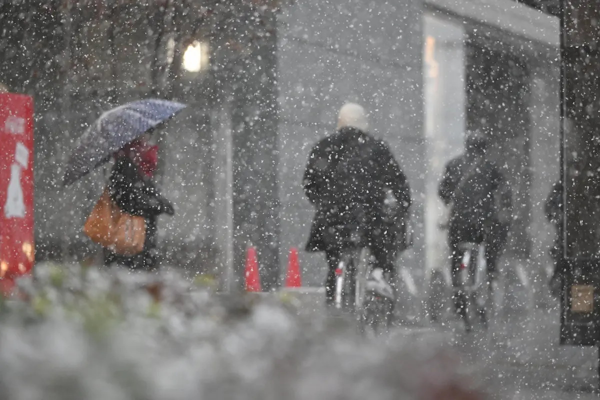 自転車雪